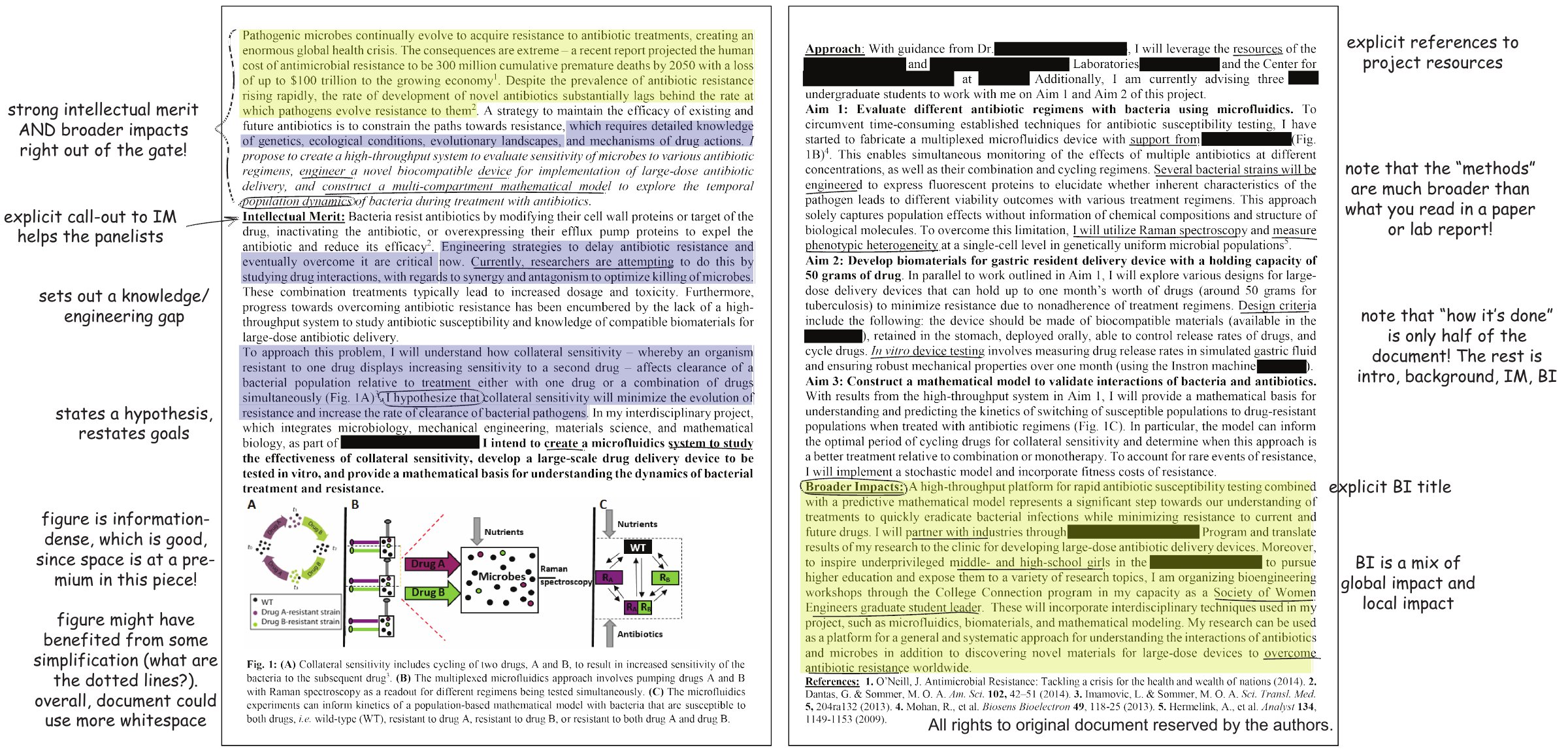 Two pages of a winning NSF GRFP research proposal on a microfluidics system for studying antibiotic resistance, with handwritten-style annotations in the margins. Annotations note that it states Intellectual Merit and Broader Impacts right away, calls out Intellectual Merit with an explicit heading, sets out a knowledge gap, states a hypothesis, uses an information-dense figure, has an explicit Broader Impacts title, and spends only half the document on methods.