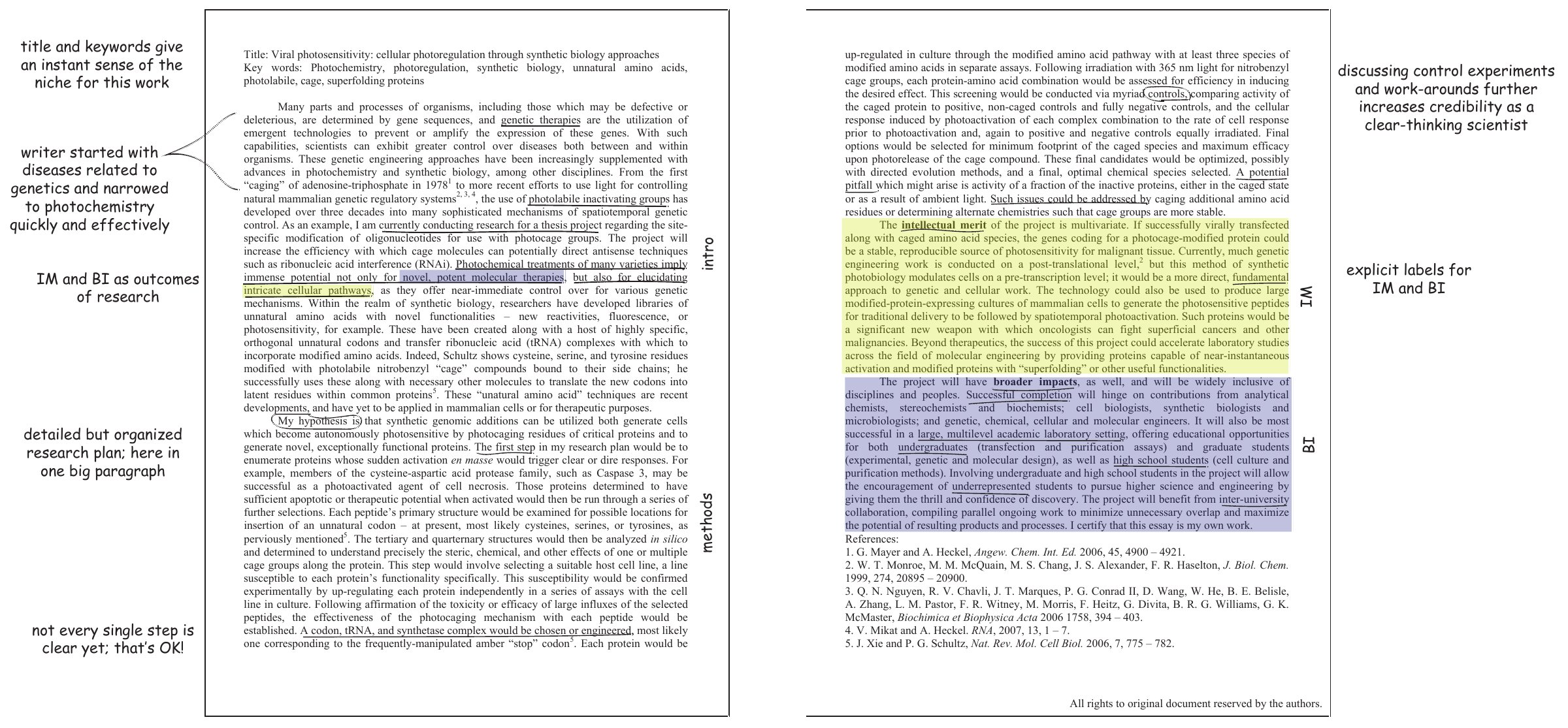 Two pages of a winning NSF GRFP research proposal on photocaged proteins for light-controlled cell therapies, with margin annotations. Annotations note that the title and keywords set the niche, the introduction narrows quickly from genetic disease to photochemistry, the hypothesis is stated explicitly, the research plan is detailed but organized, control experiments and pitfalls add credibility, and Intellectual Merit and Broader Impacts are labeled in bold within their paragraphs.